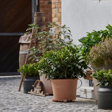 아파트 Winzerlodge, Riesling 글라이스젤렌글라이쇼르바흐