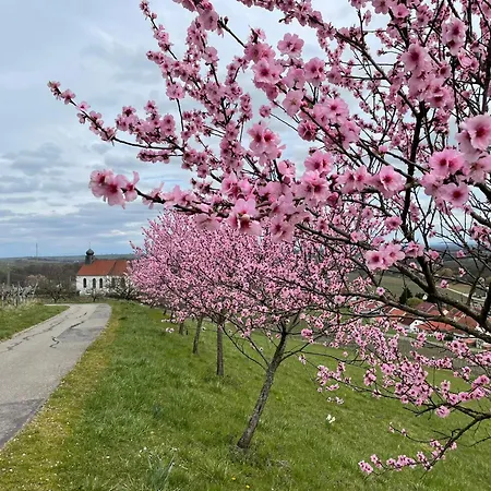 Winzerlodge, Riesling Апартаменты Глайсцеллен-Глайсхорбах