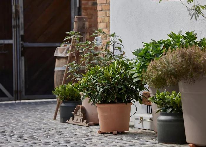 Apartamento Winzerlodge, Riesling Gleiszellen-Gleishorbach