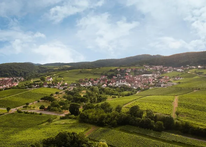 Winzerlodge, Riesling Apartamento