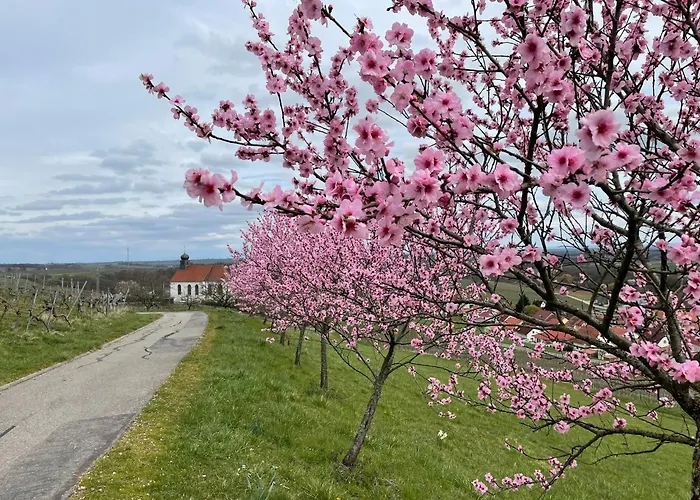 Winzerlodge, Riesling Apartamento Gleiszellen-Gleishorbach
